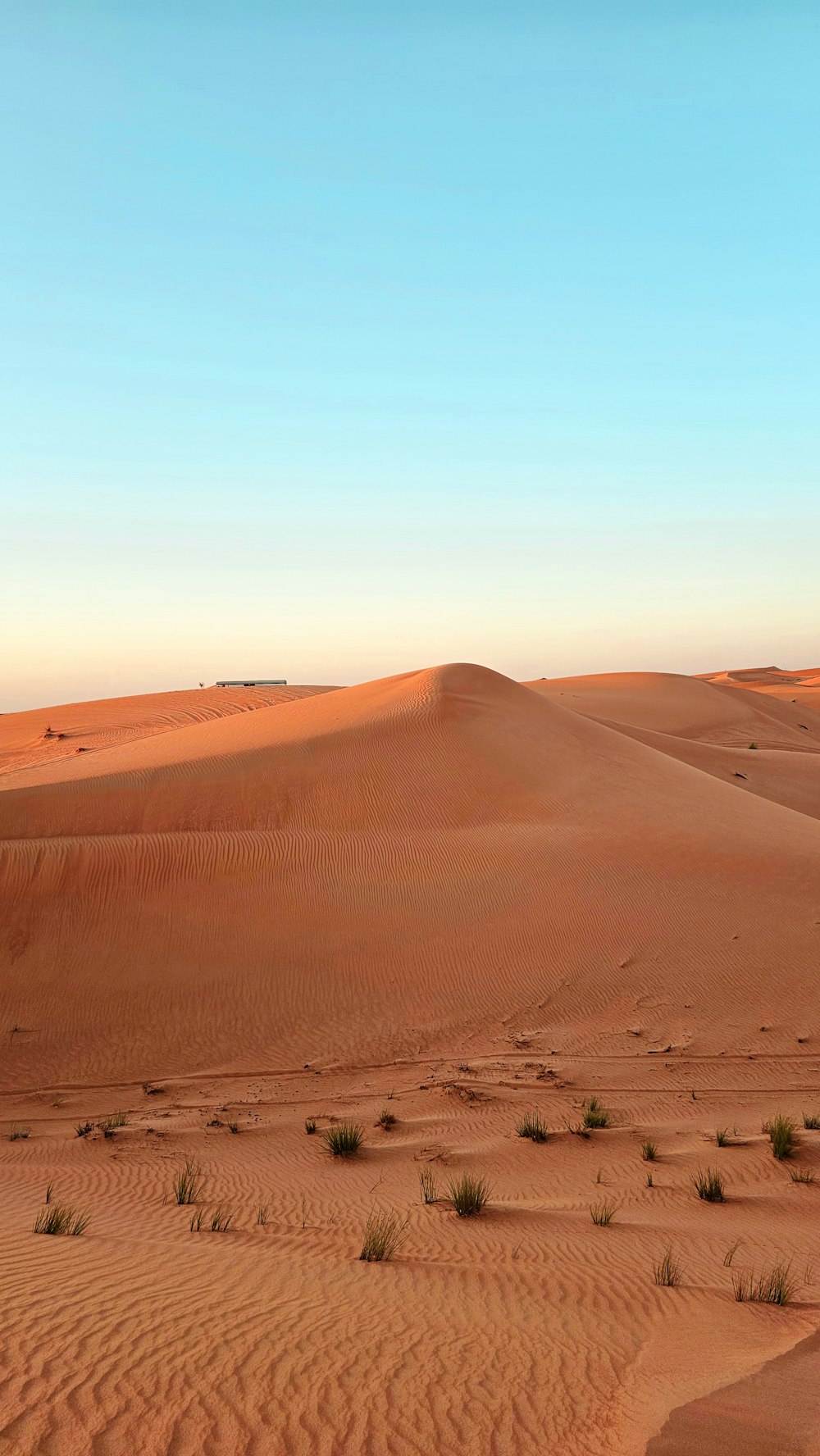 a desert scene with a lone tree in the middle of the desert