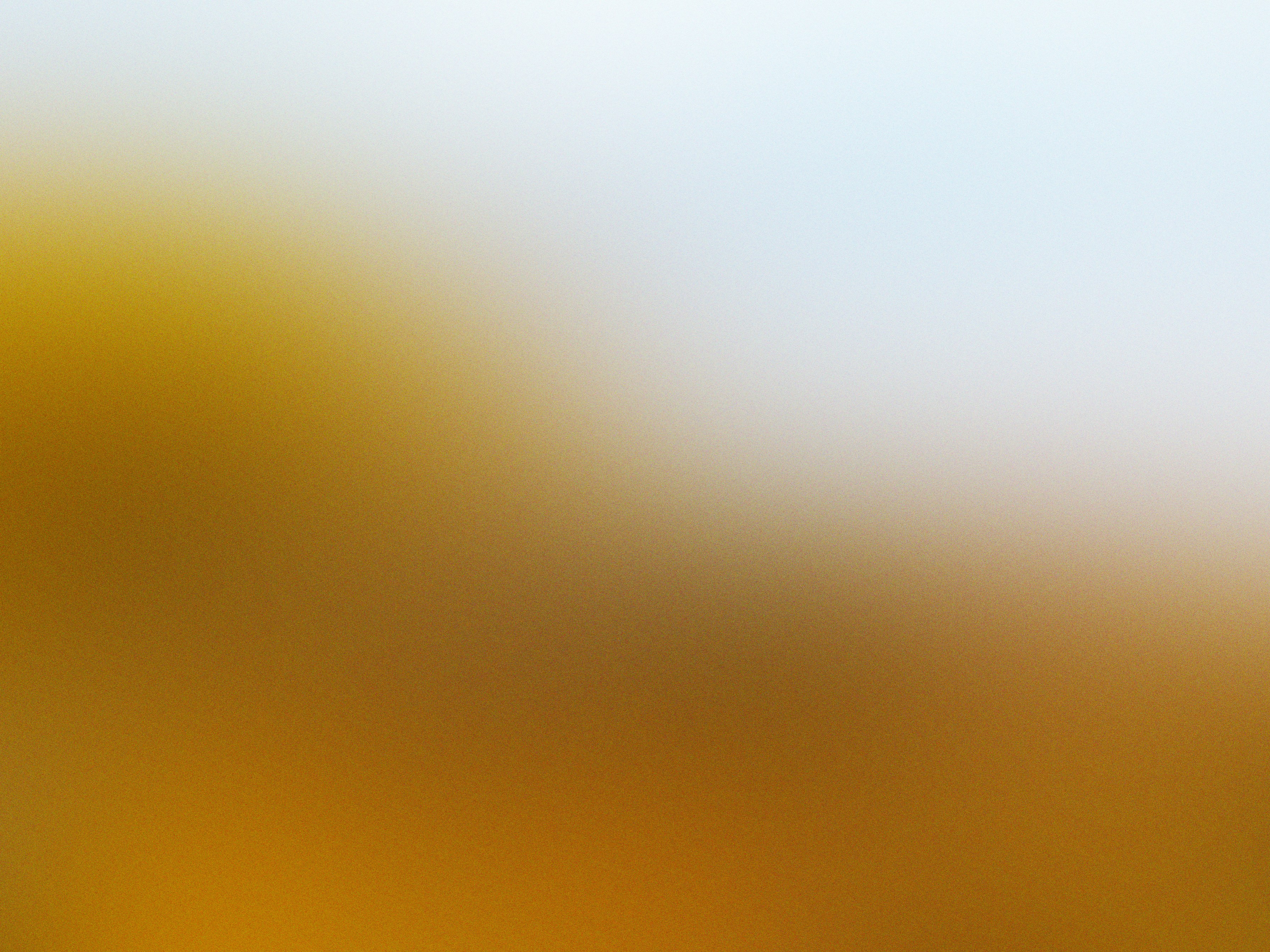 Photo by iklas_rahman