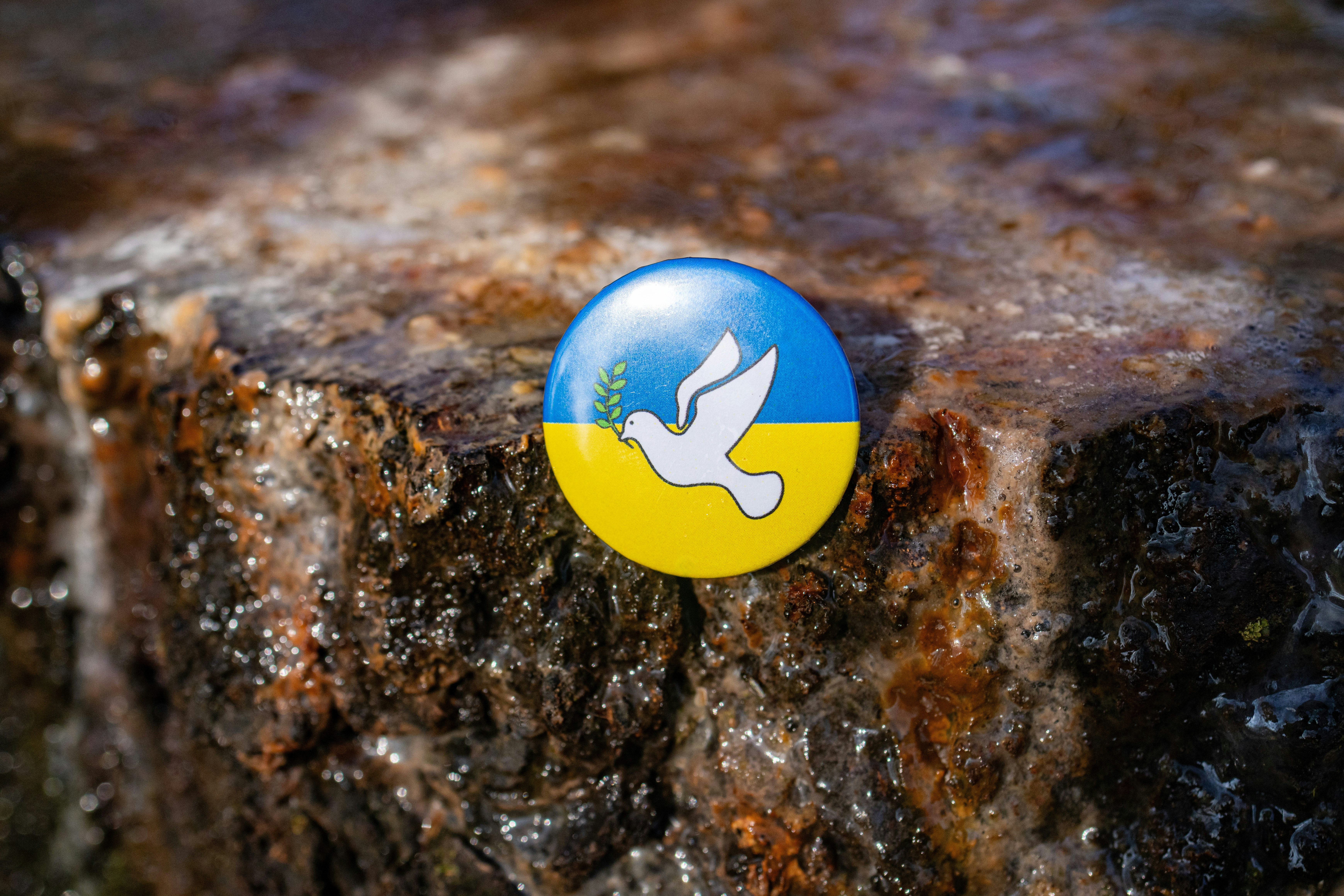 a button with a bird on it sitting on a rock