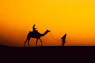 a person riding a camel in the desert at sunset