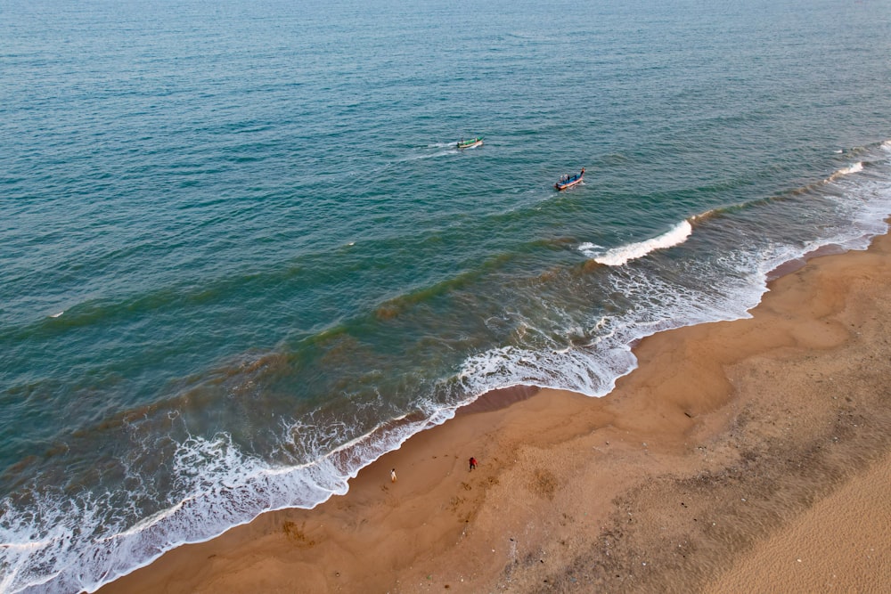海の波の上をサーフボードで走る人