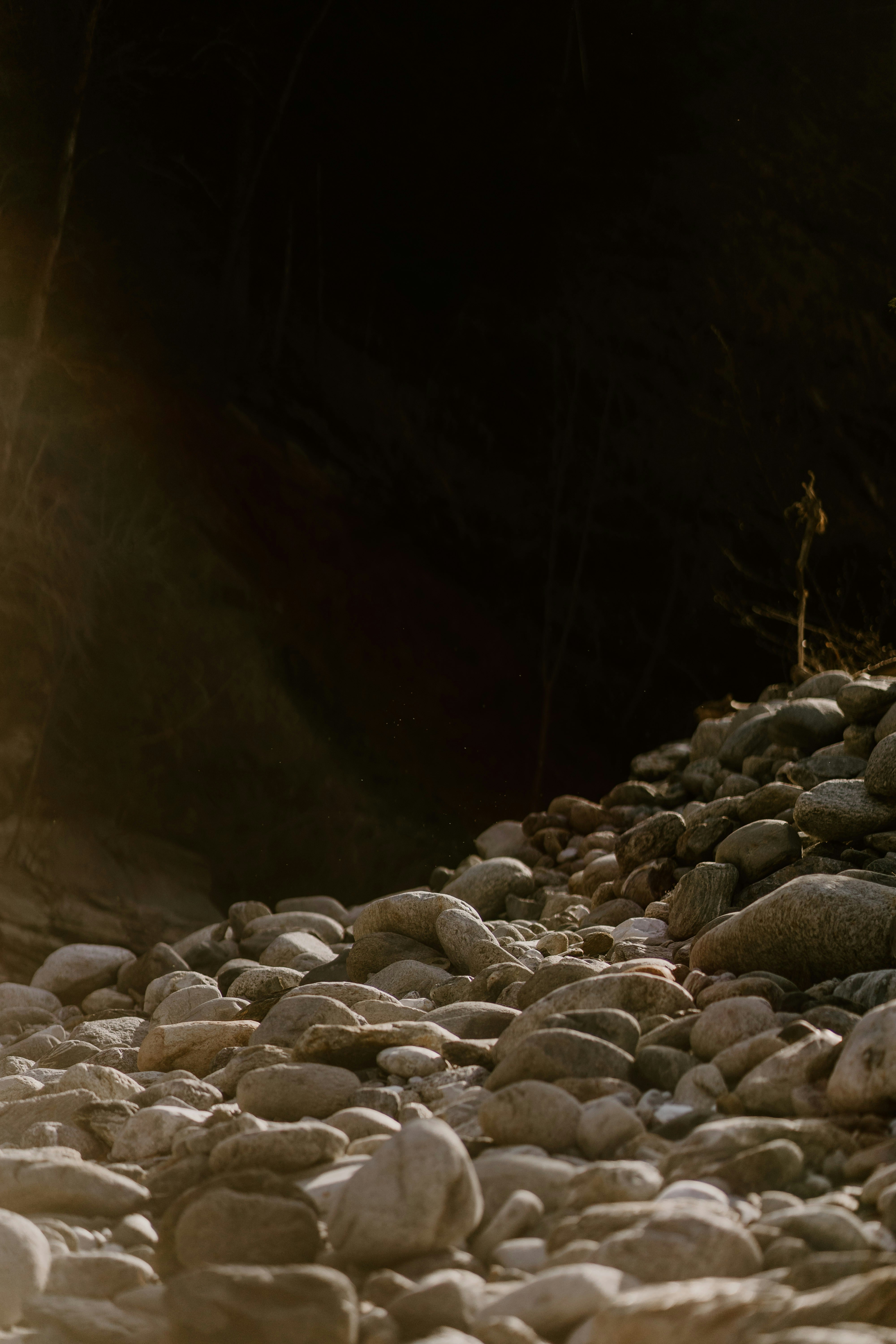 Photo by lenakestler