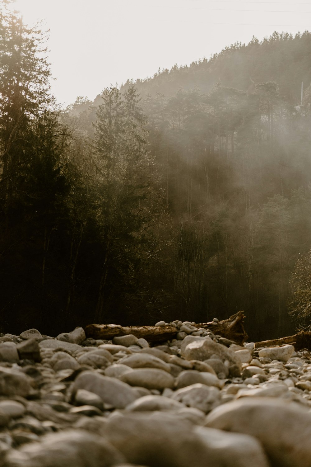 a rocky river bed with trees in the background