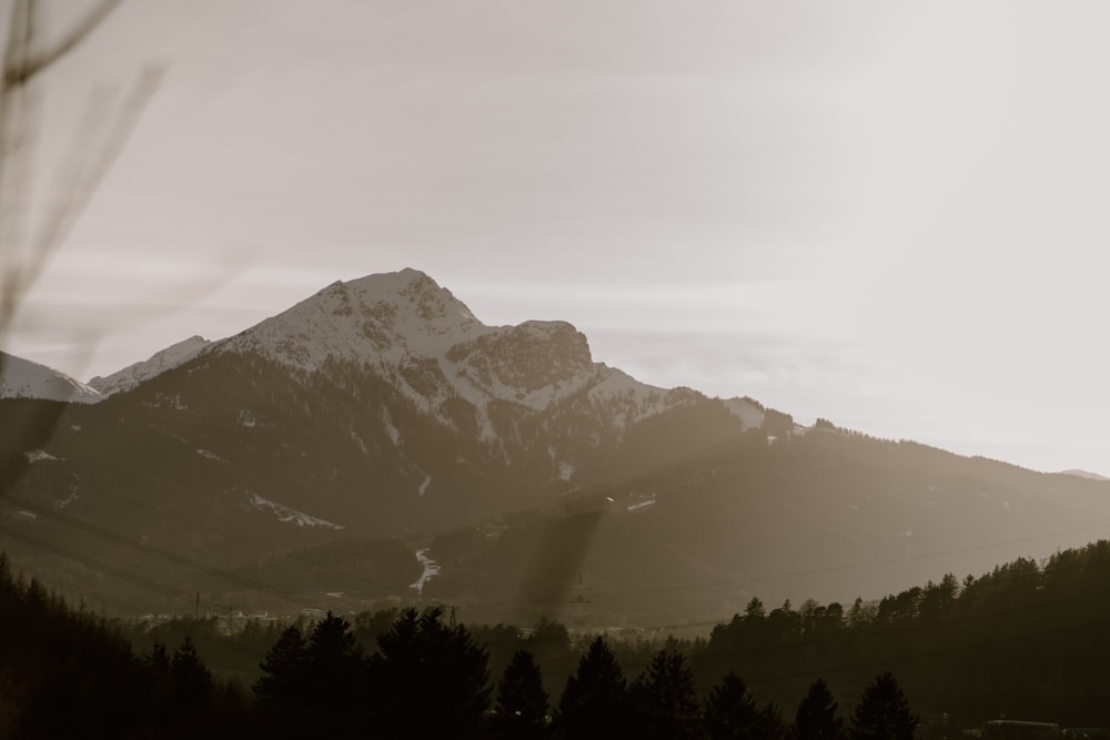 a view of a mountain range with trees in the foreground