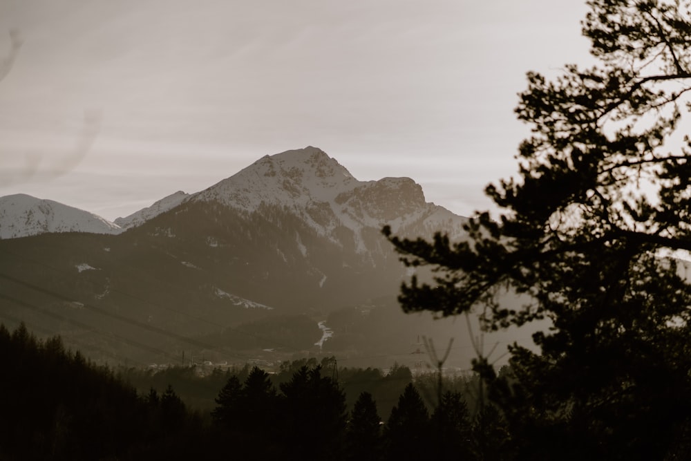 a view of a mountain range with trees in the foreground