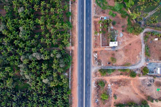 an aerial view of a road surrounded by palm trees