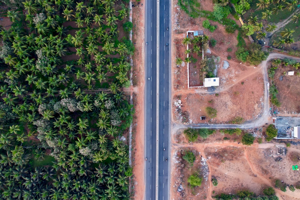 an aerial view of a road surrounded by palm trees