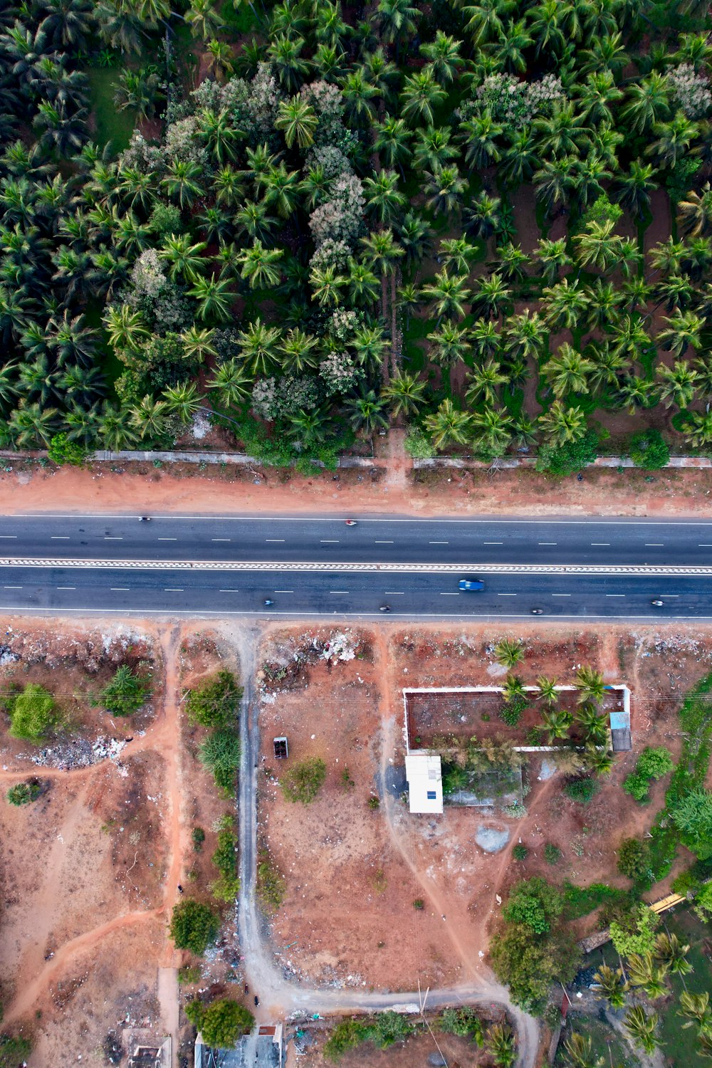 Vista aérea de uma estrada cercada por palmeiras