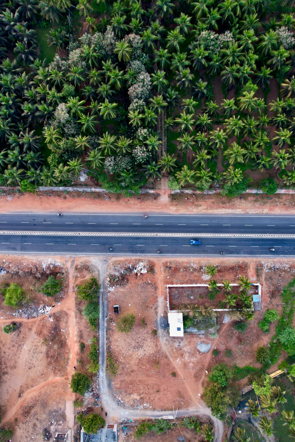 an aerial view of a road surrounded by palm trees