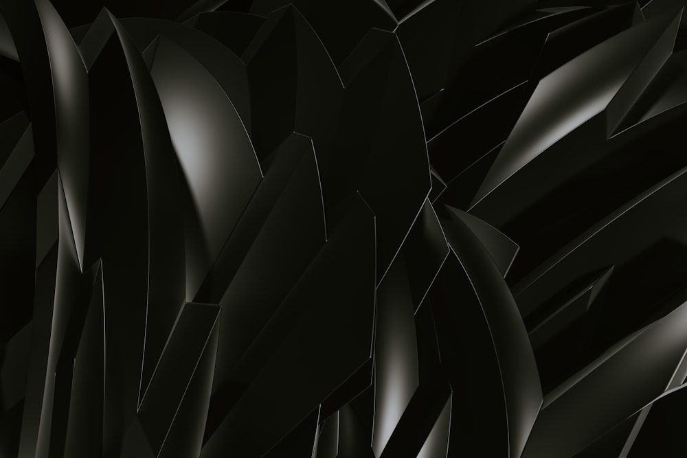 uma foto em preto e branco de uma planta