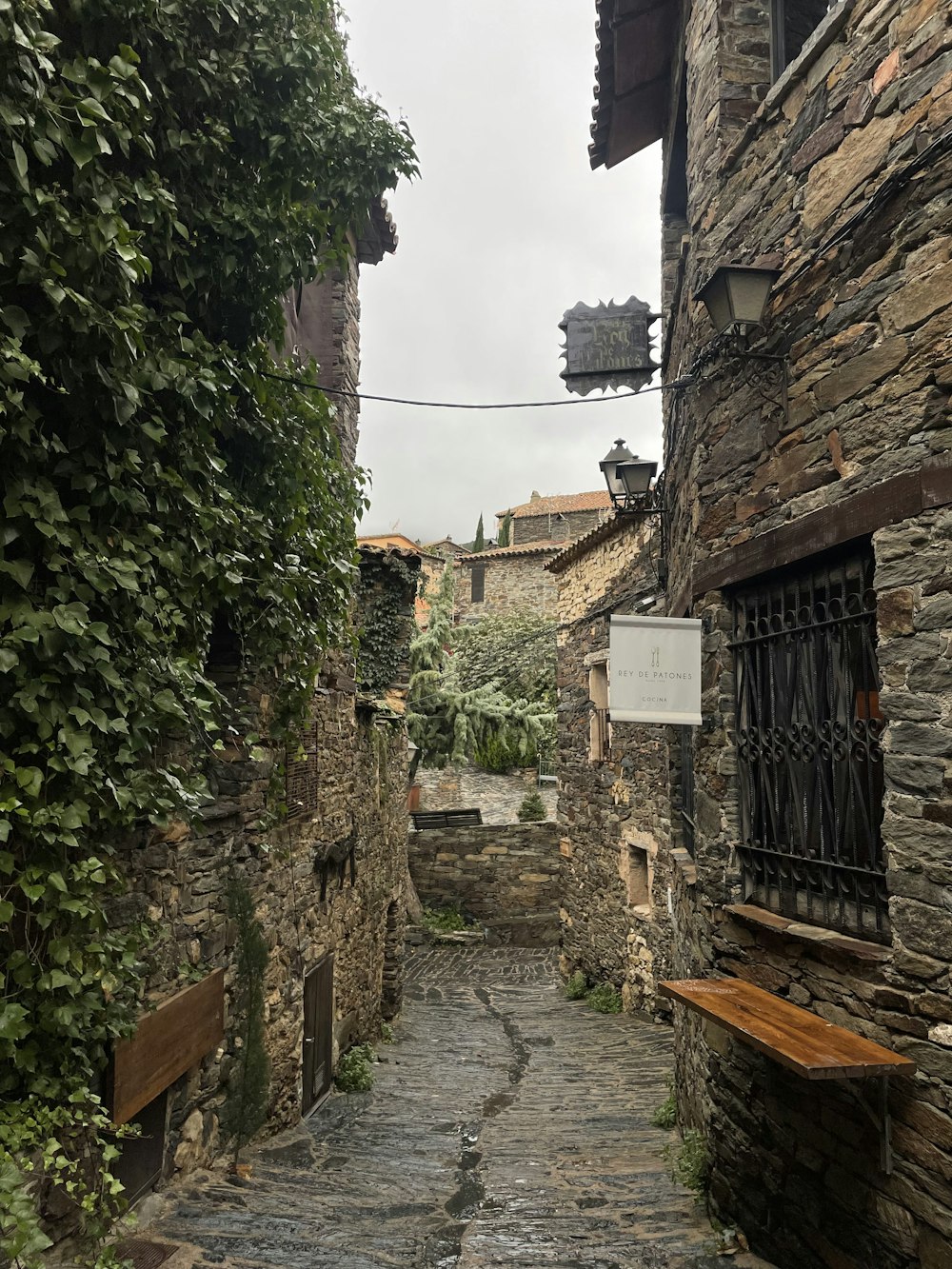 a cobblestone street with a bench in the middle of it