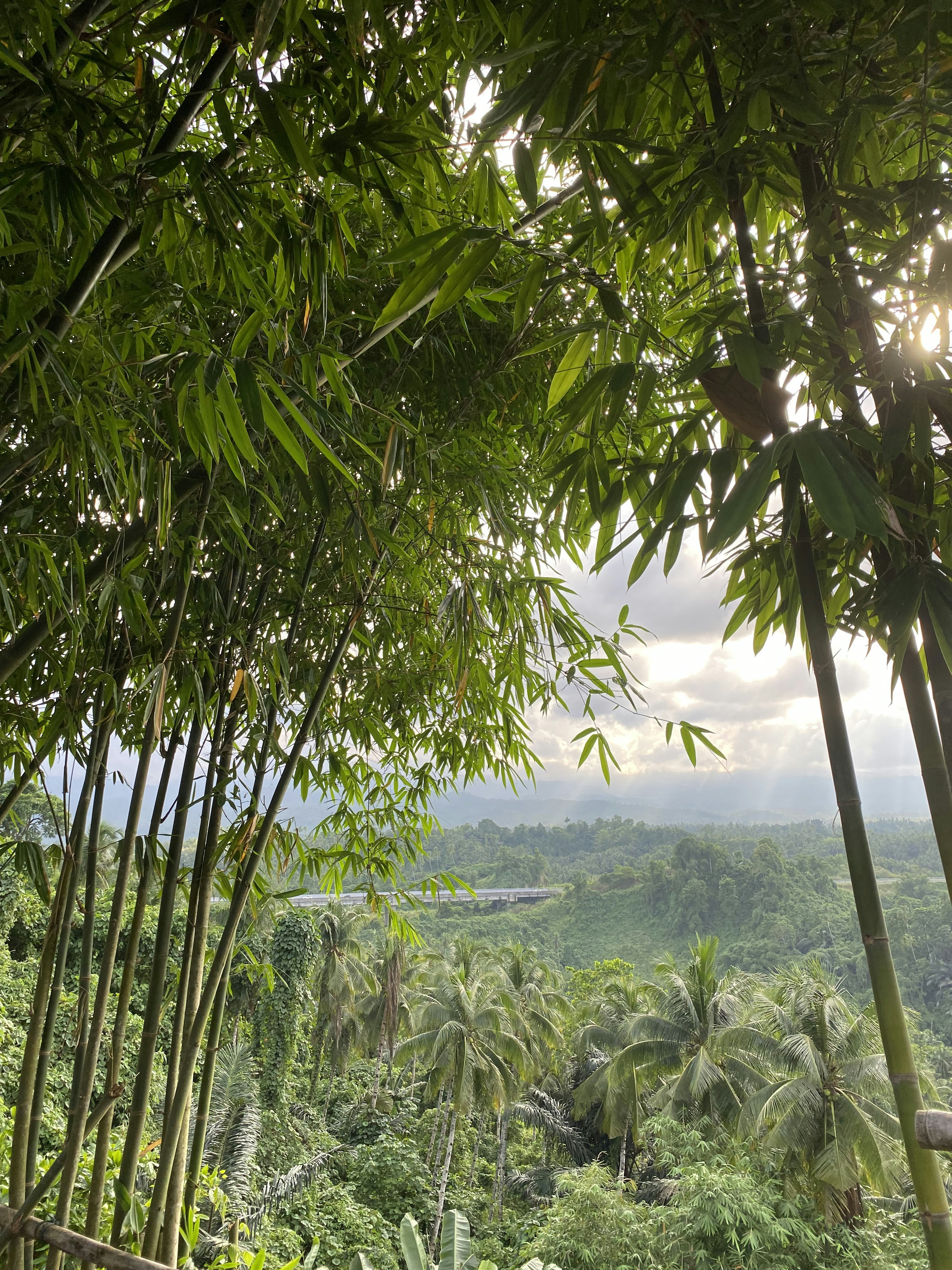 Photo by keigabriela