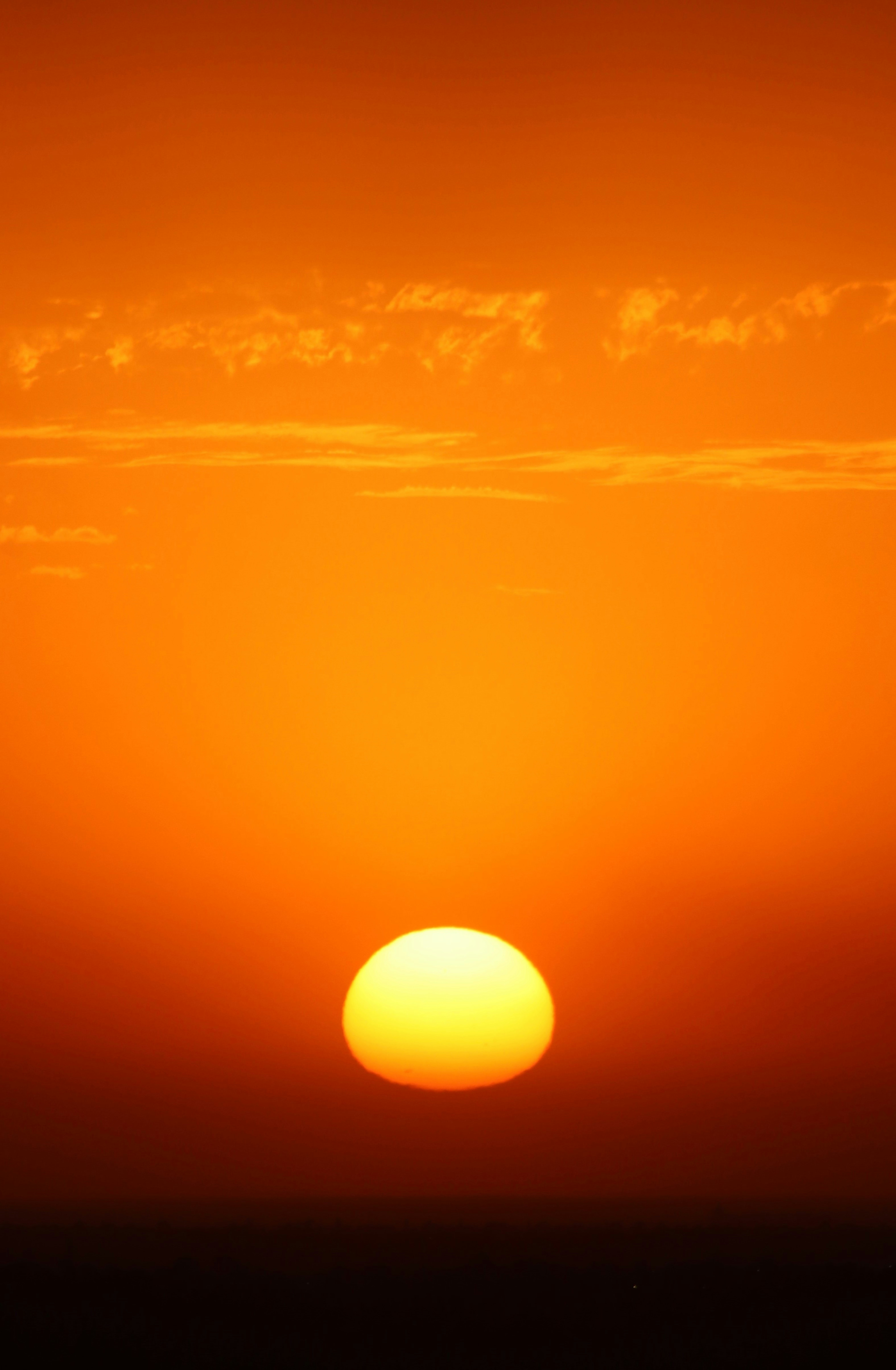 Photo by craigmanners_com