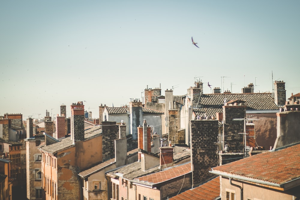 a bird flying over a city filled with tall buildings