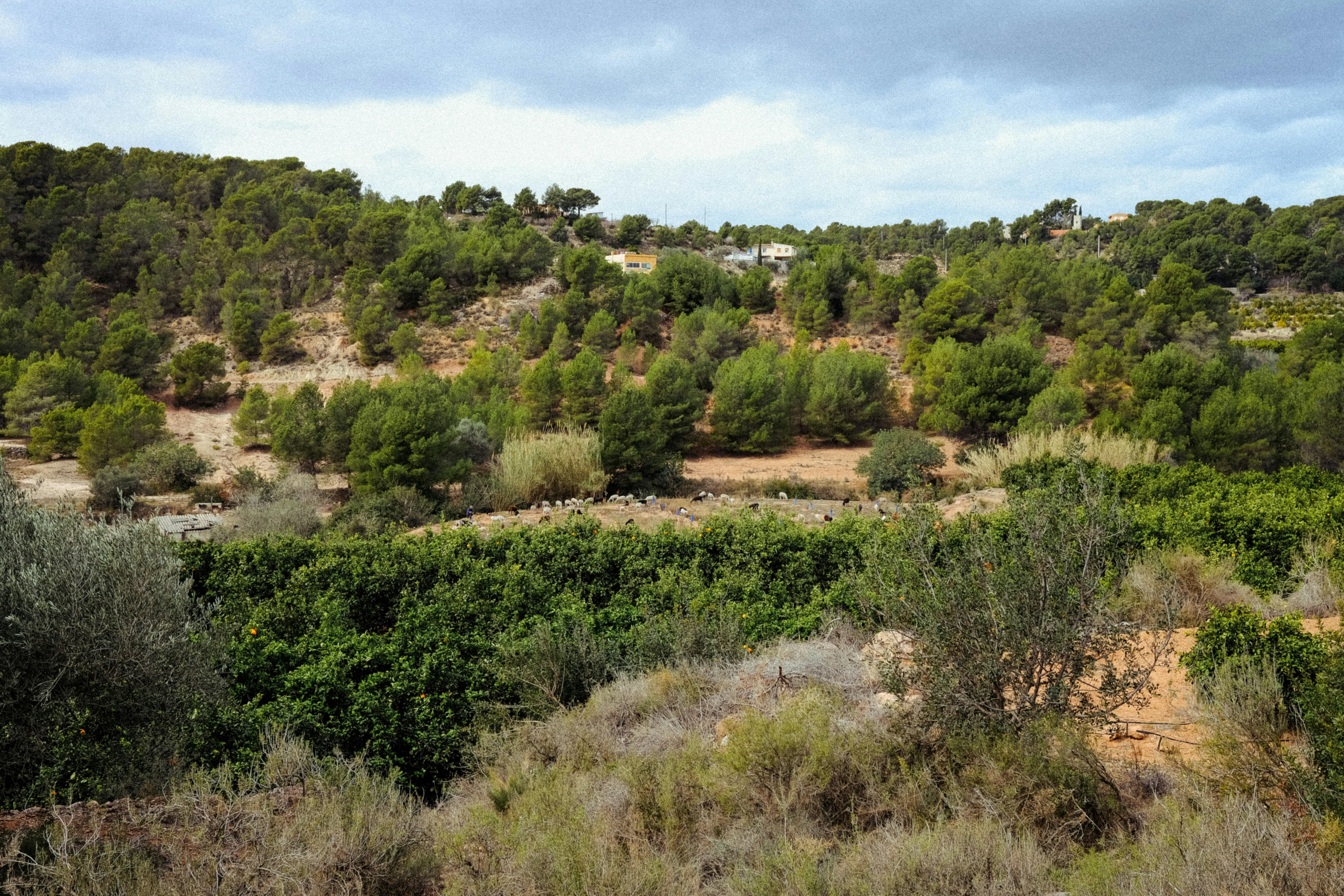 Image by Konstantin Chemeris via Unsplash