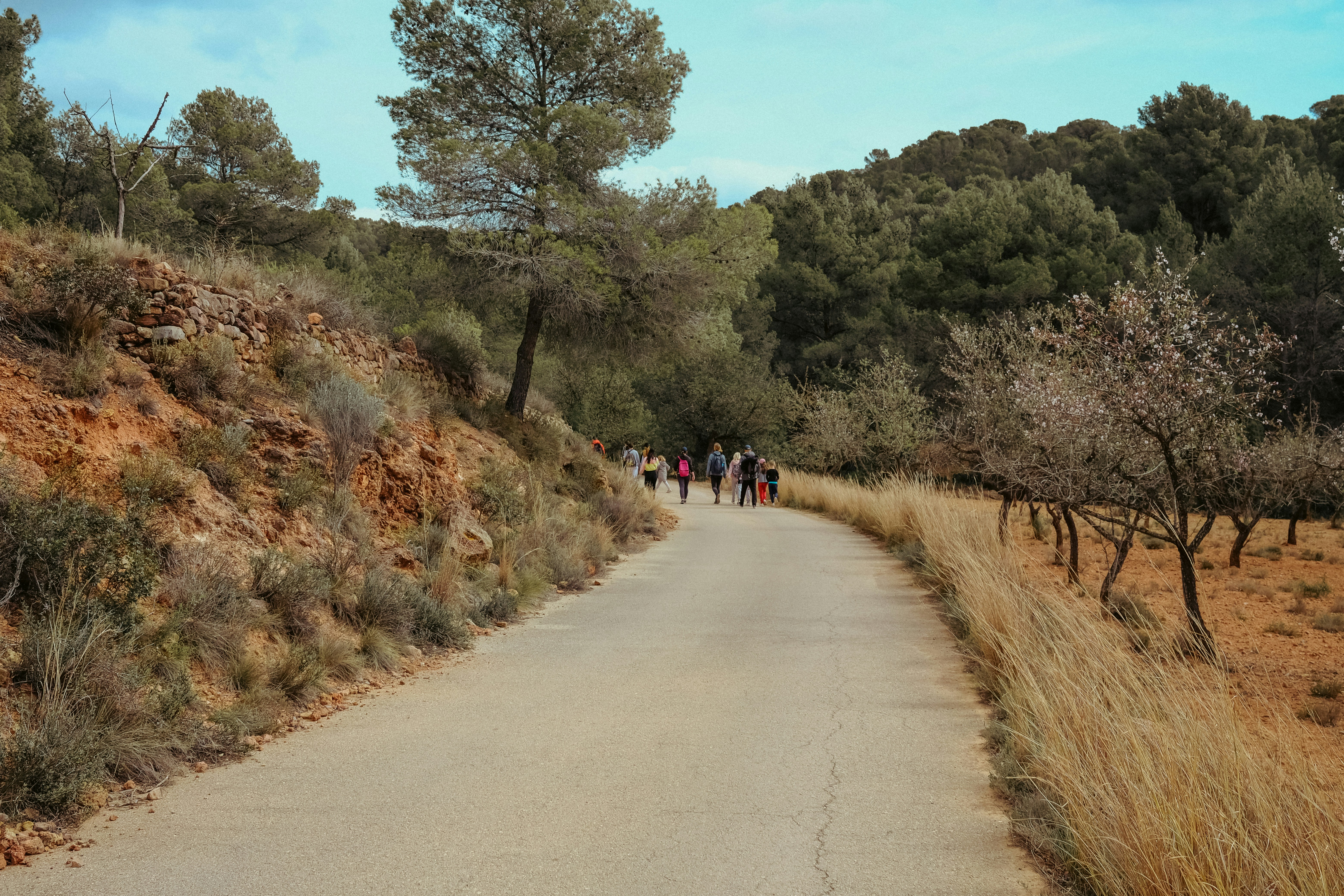 a group of people walking down a dirt road