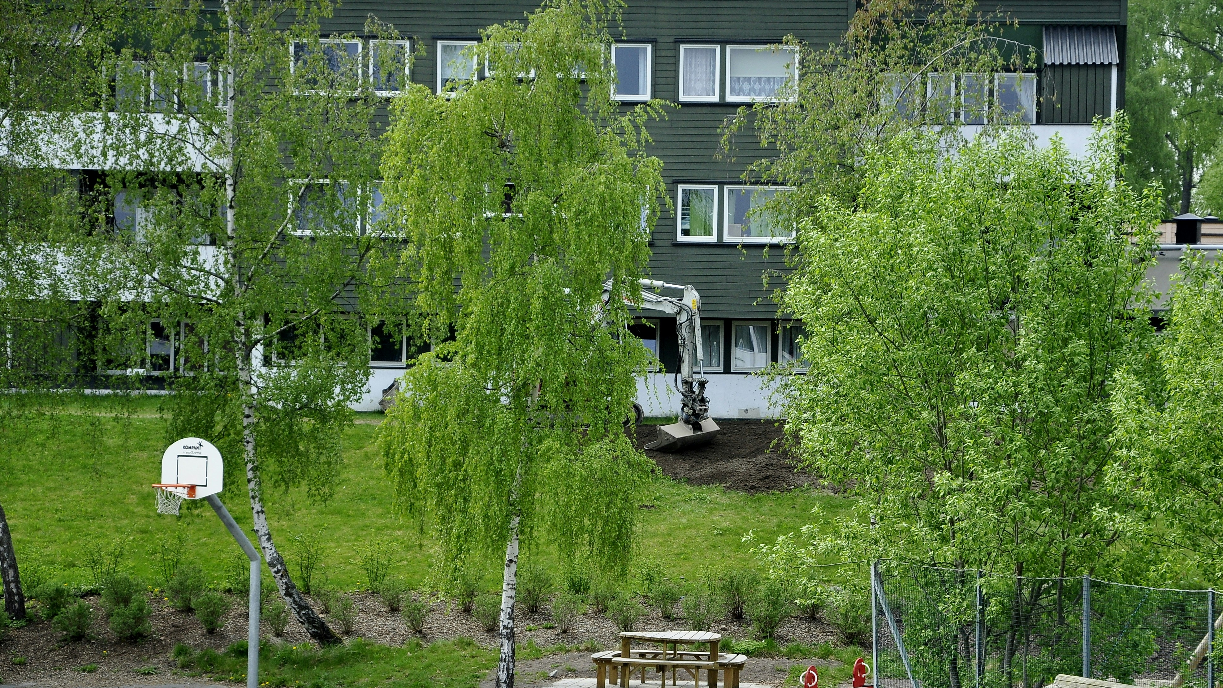 Afbeelding van Scharendijke