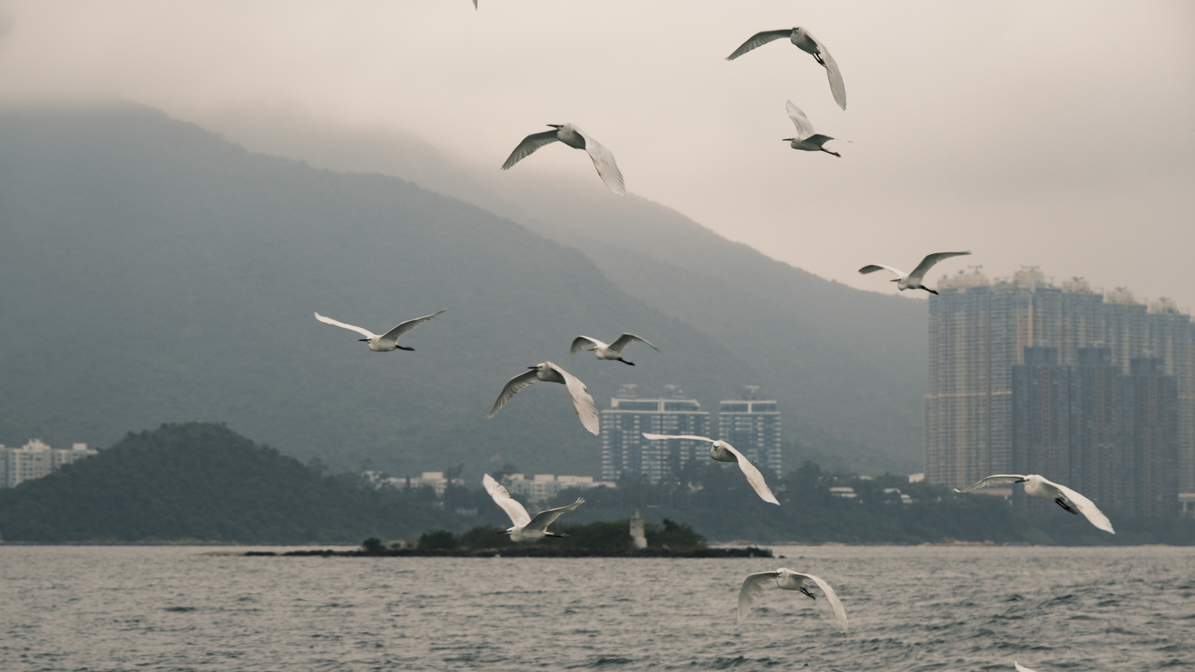 Photo by samuelwu