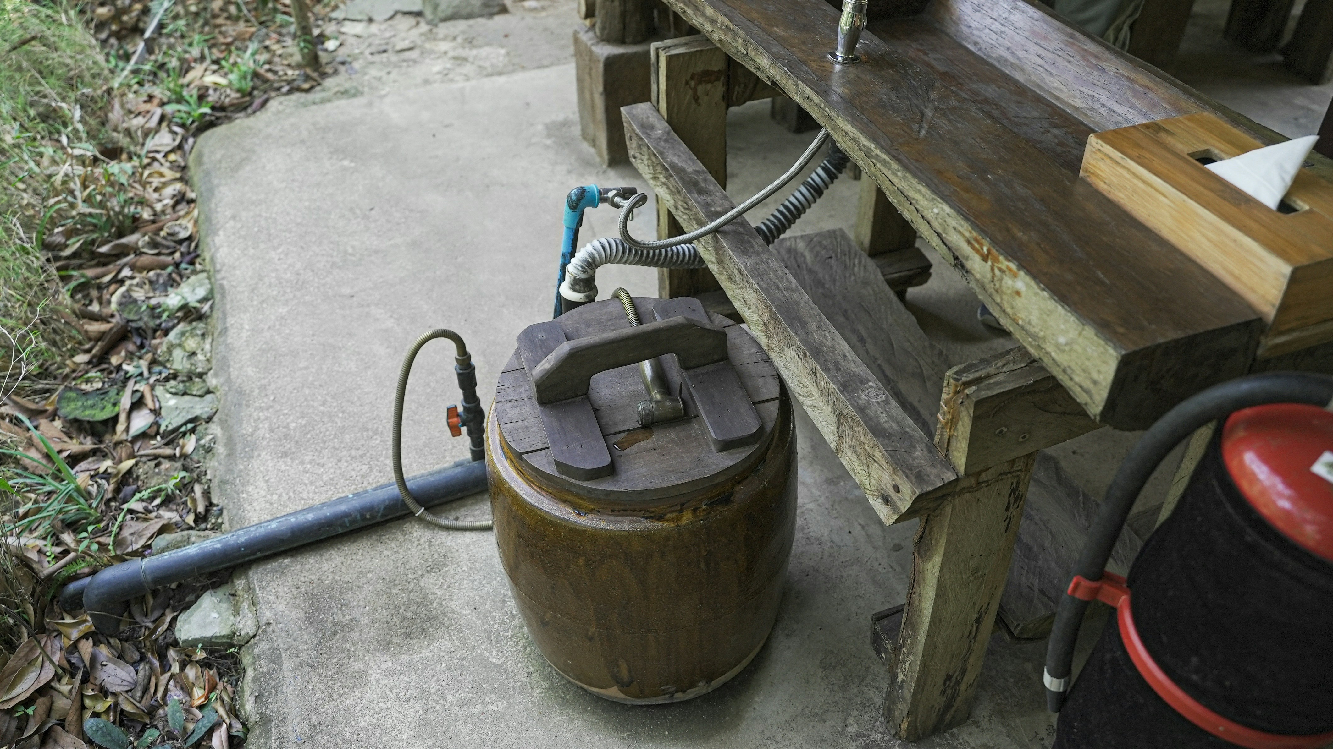 Wild kitchen