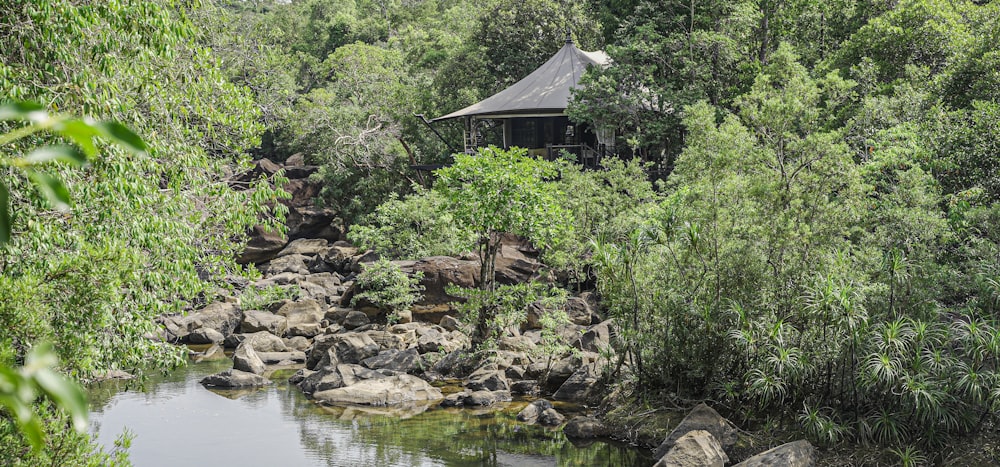 a small hut in the middle of a forest