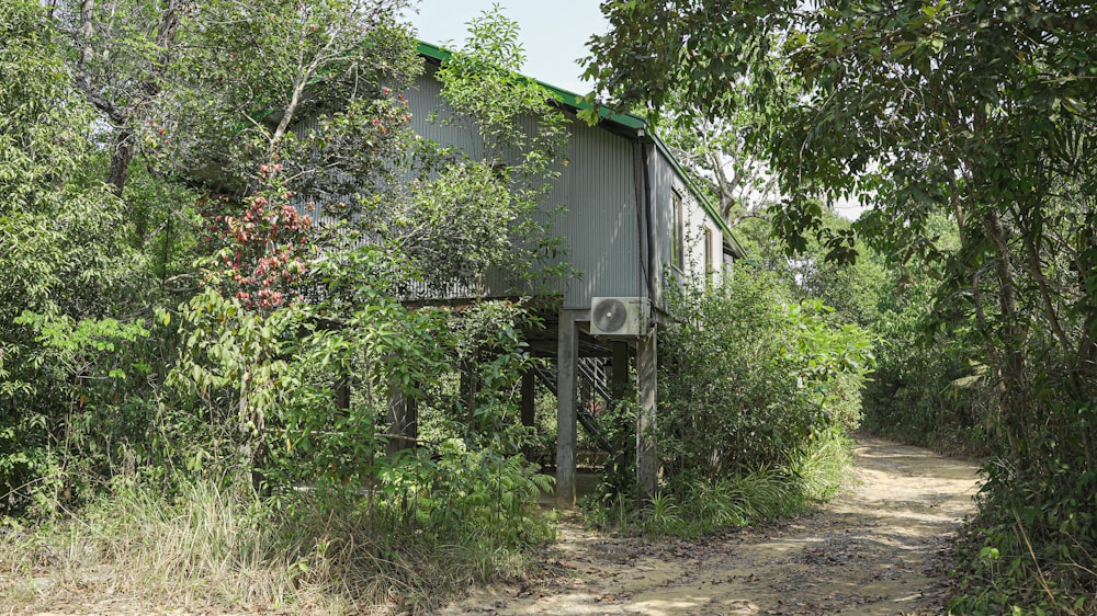 a dirt road surrounded by trees and bushes