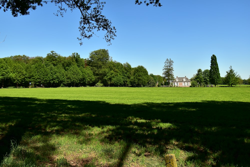 a large open field with a house in the distance