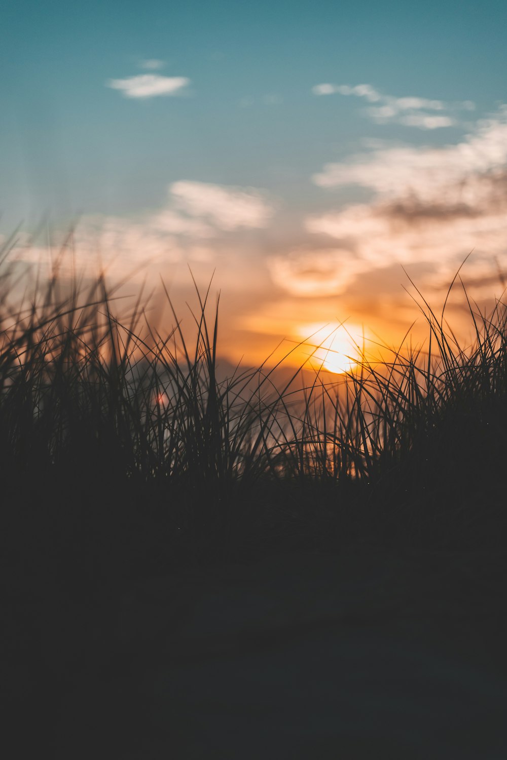 the sun is setting behind some tall grass