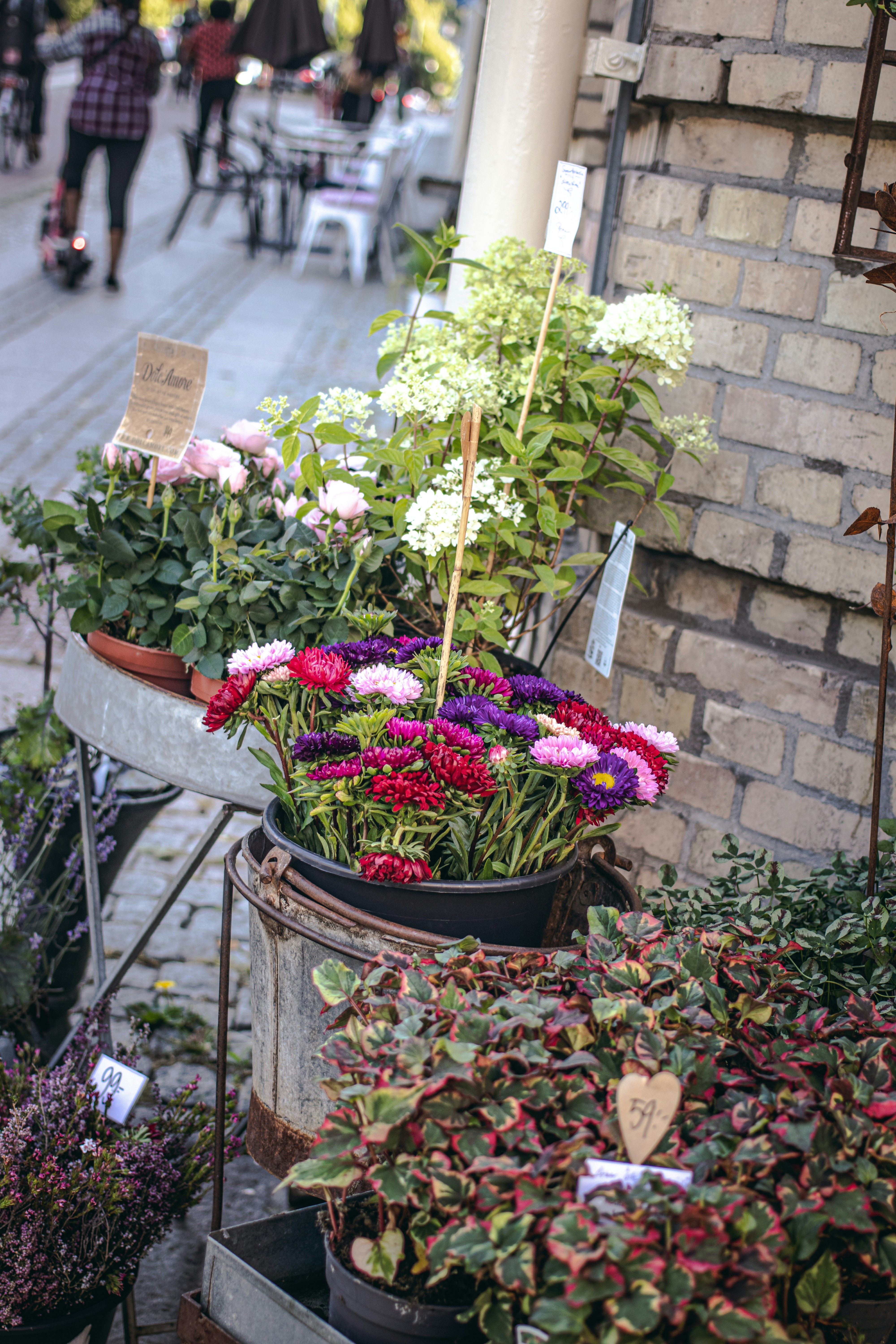 Photo by kattavonben