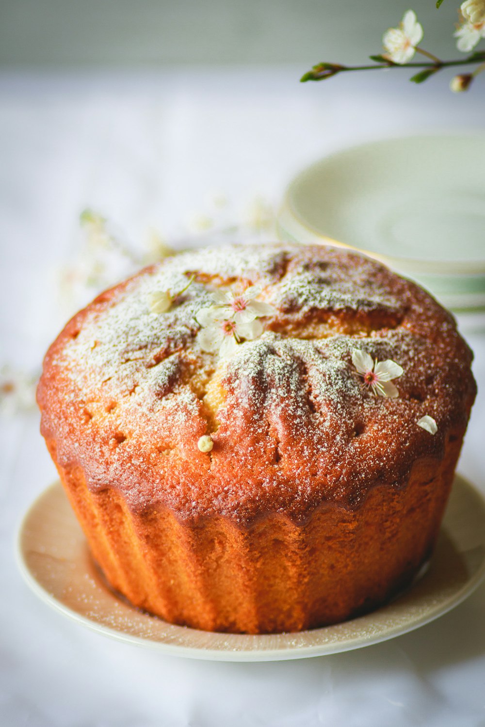 a close up of a muffin on a plate