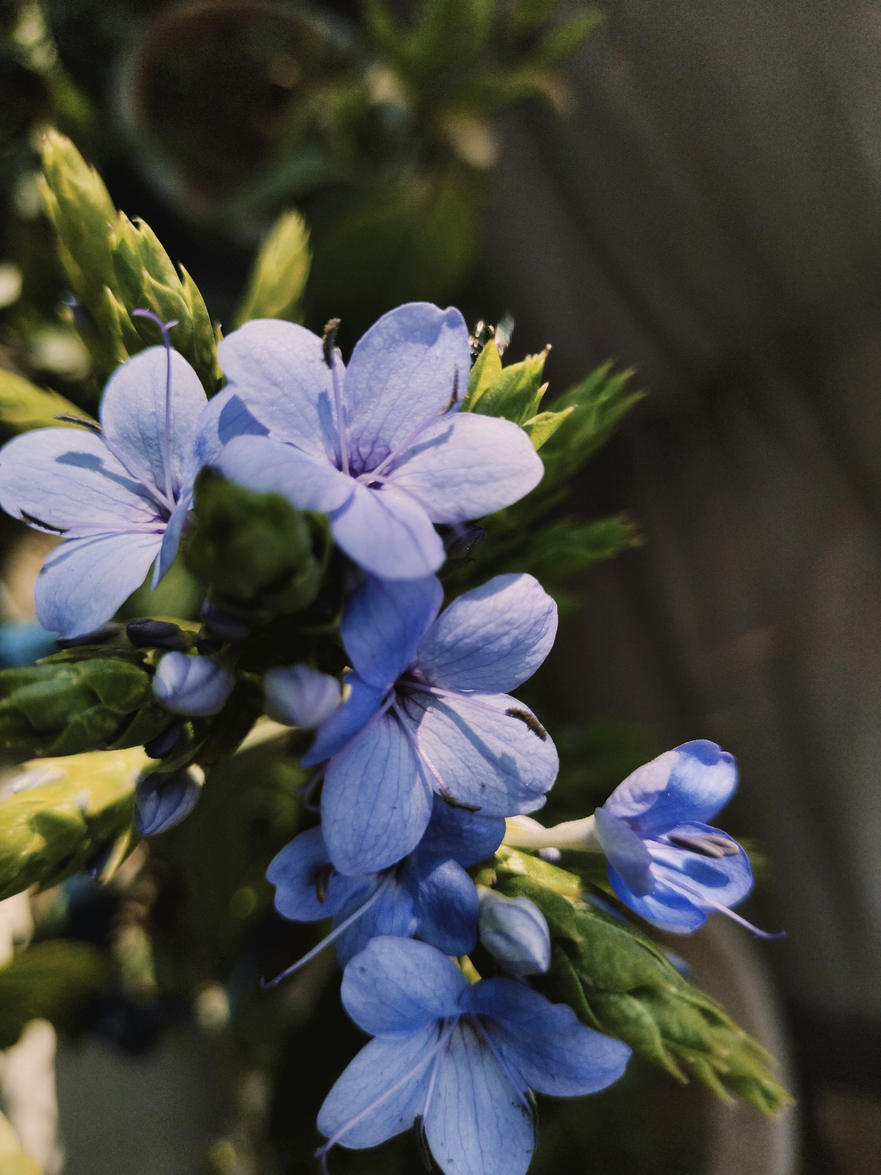 Photo by akash_raghav