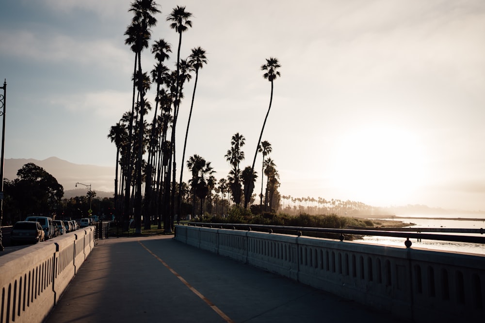 the sun is setting over the ocean and palm trees