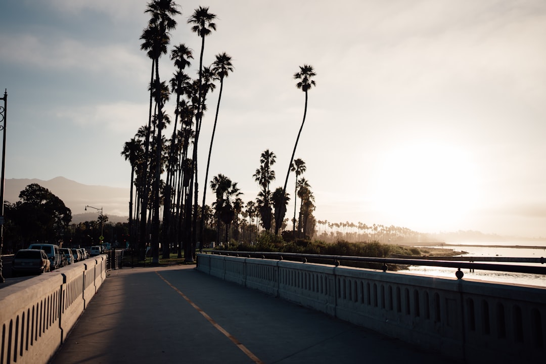 the sun is setting over the ocean and palm trees,