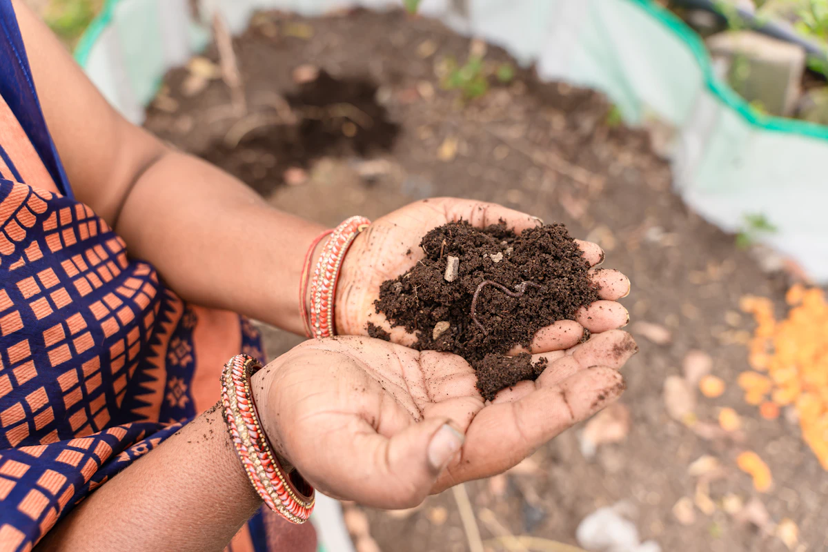 Organic Fertilizers for Indian Home Garden — Vermicompost Compost