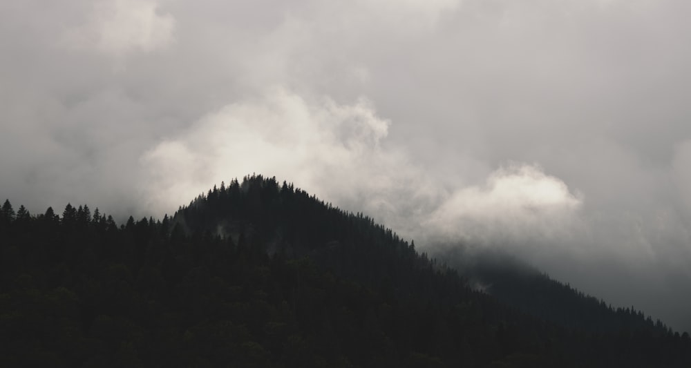 a mountain covered in clouds and trees on a cloudy day