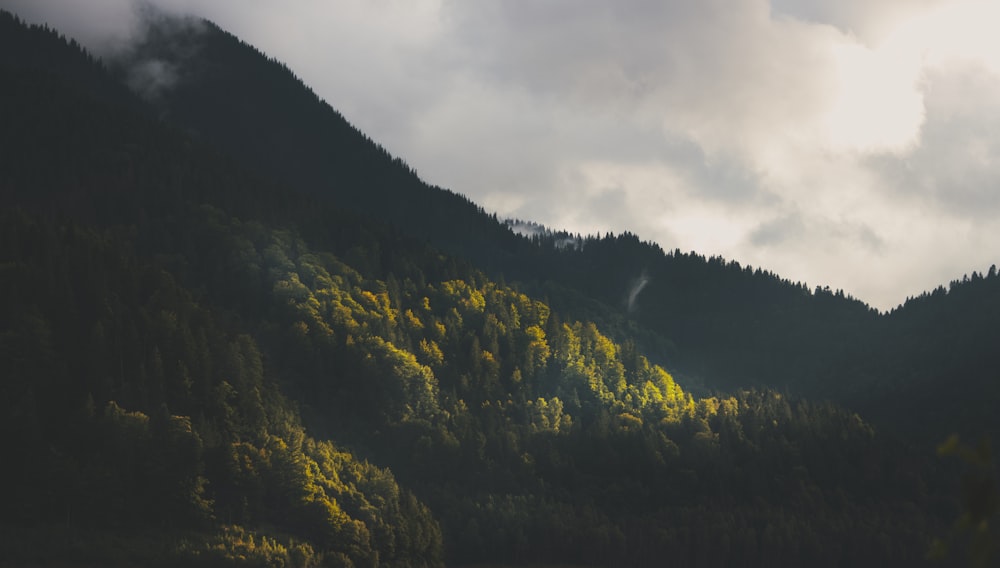 a mountain covered in trees under a cloudy sky