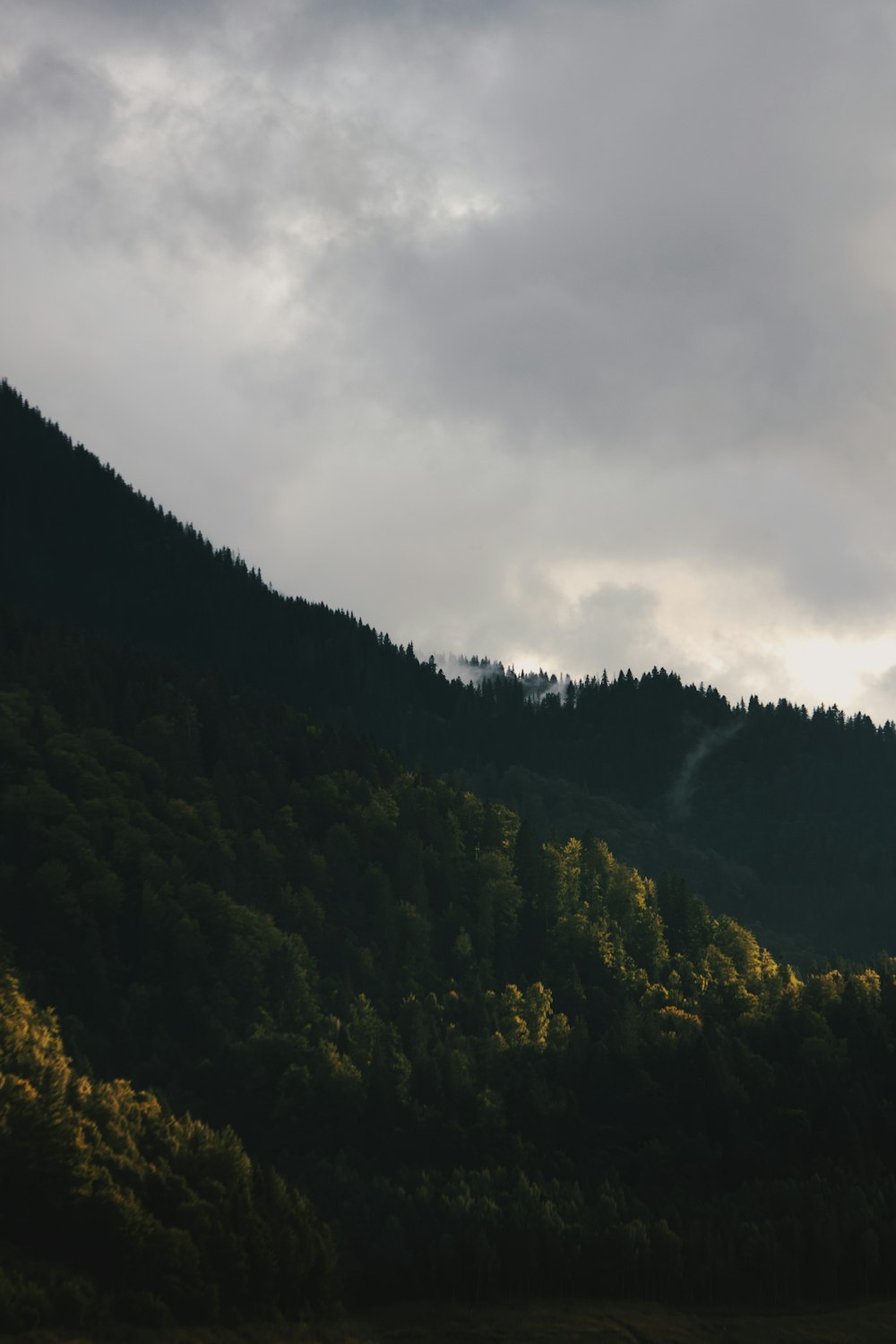 a mountain covered in trees under a cloudy sky