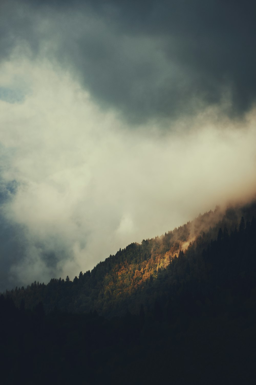 a mountain covered in clouds and trees under a cloudy sky