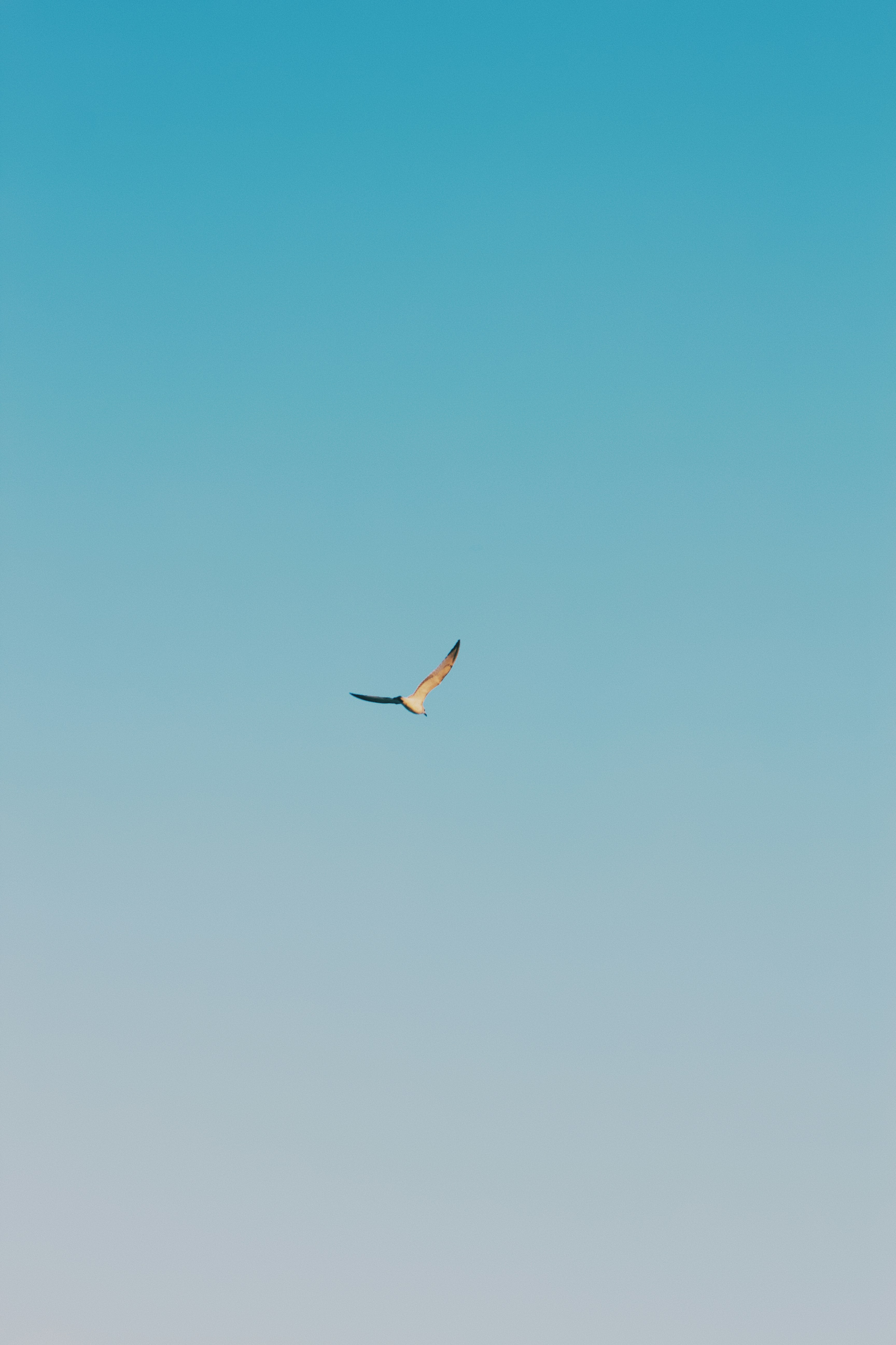 Photo by lucky_13_photos