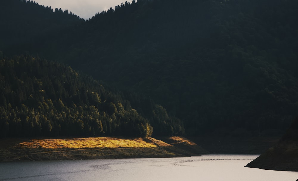 un grand plan d’eau entouré d’une forêt