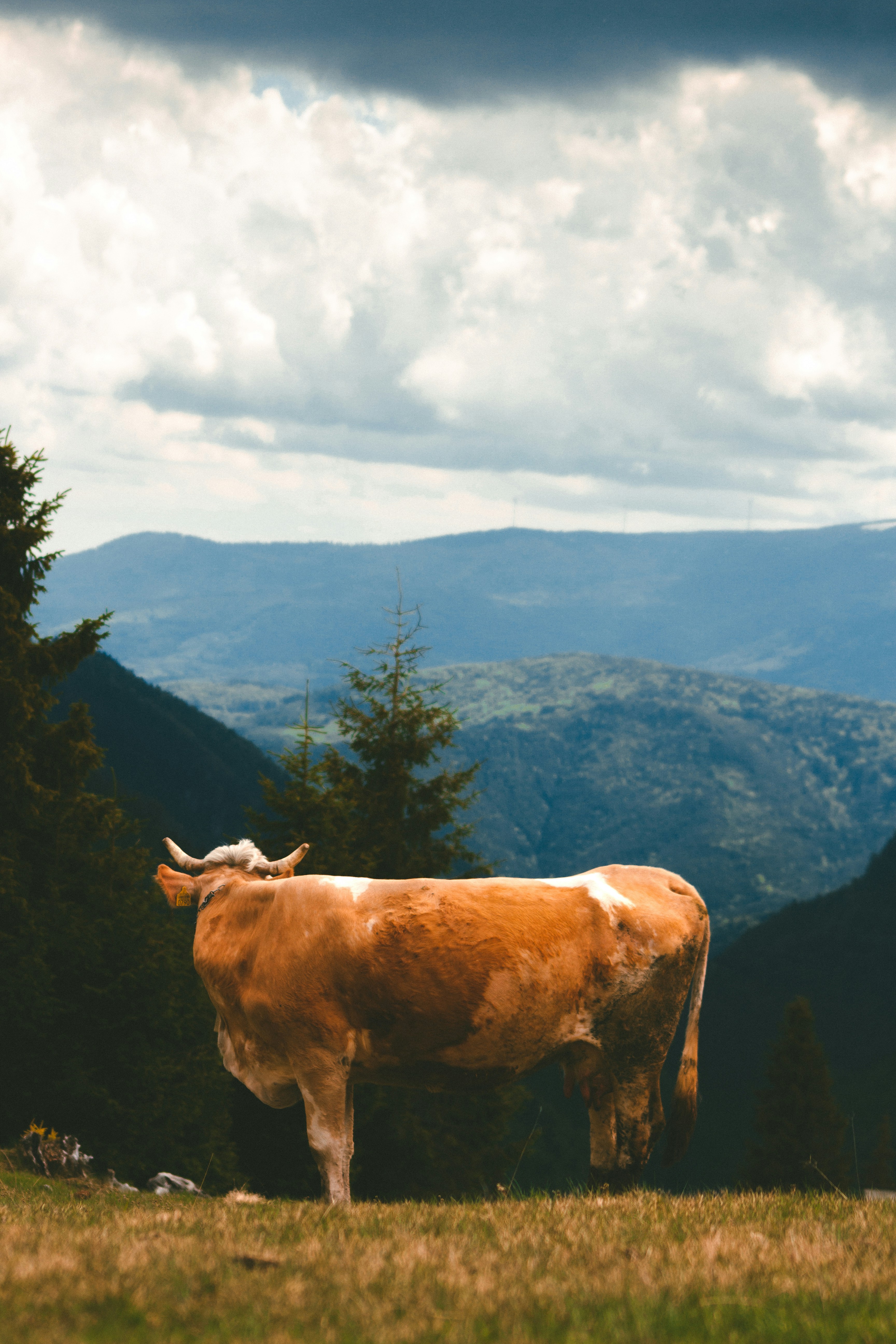 Photo by lucky_13_photos