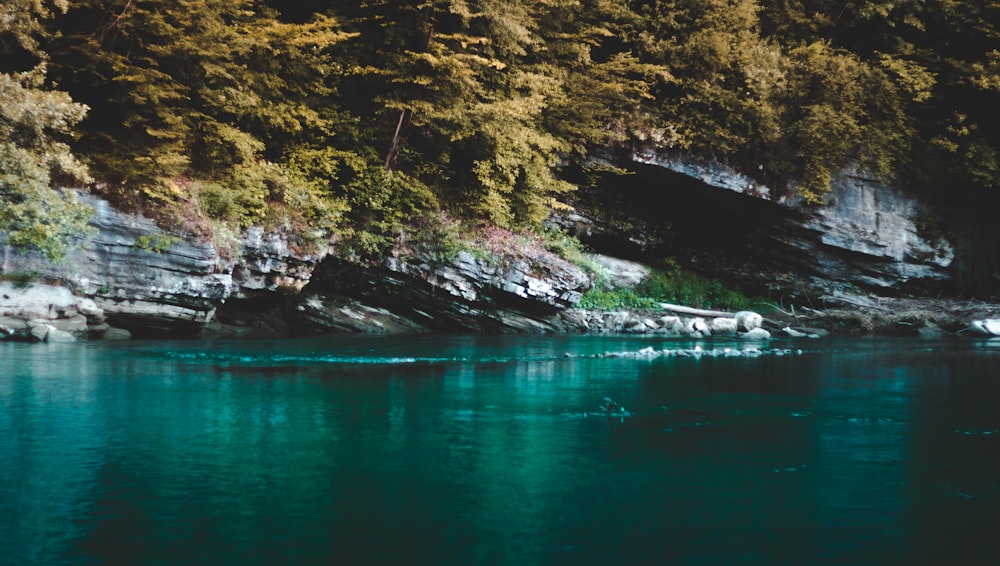 a body of water surrounded by trees and rocks