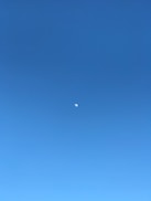 a person is flying a kite in a clear blue sky