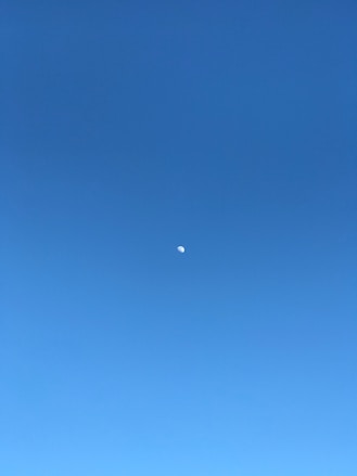 a person is flying a kite in a clear blue sky