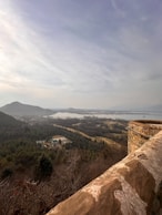 a view of a lake and mountains from the top of a hill
