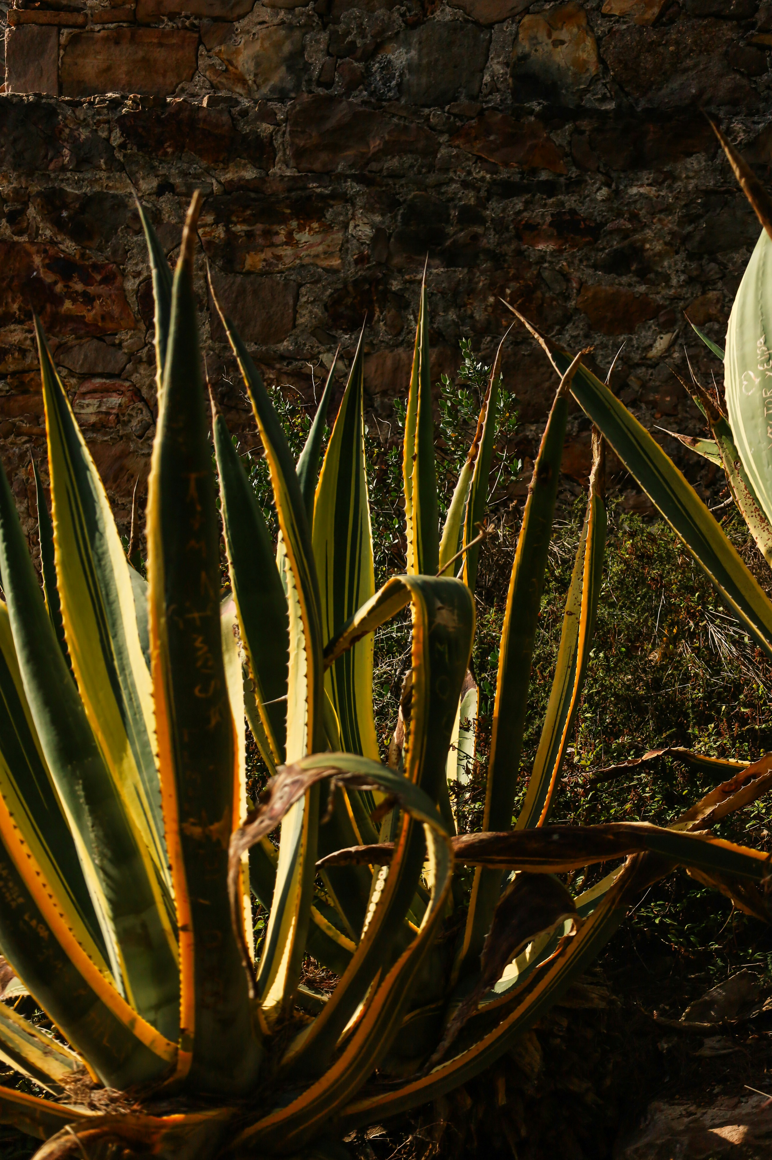 Photo by aimee_naomi