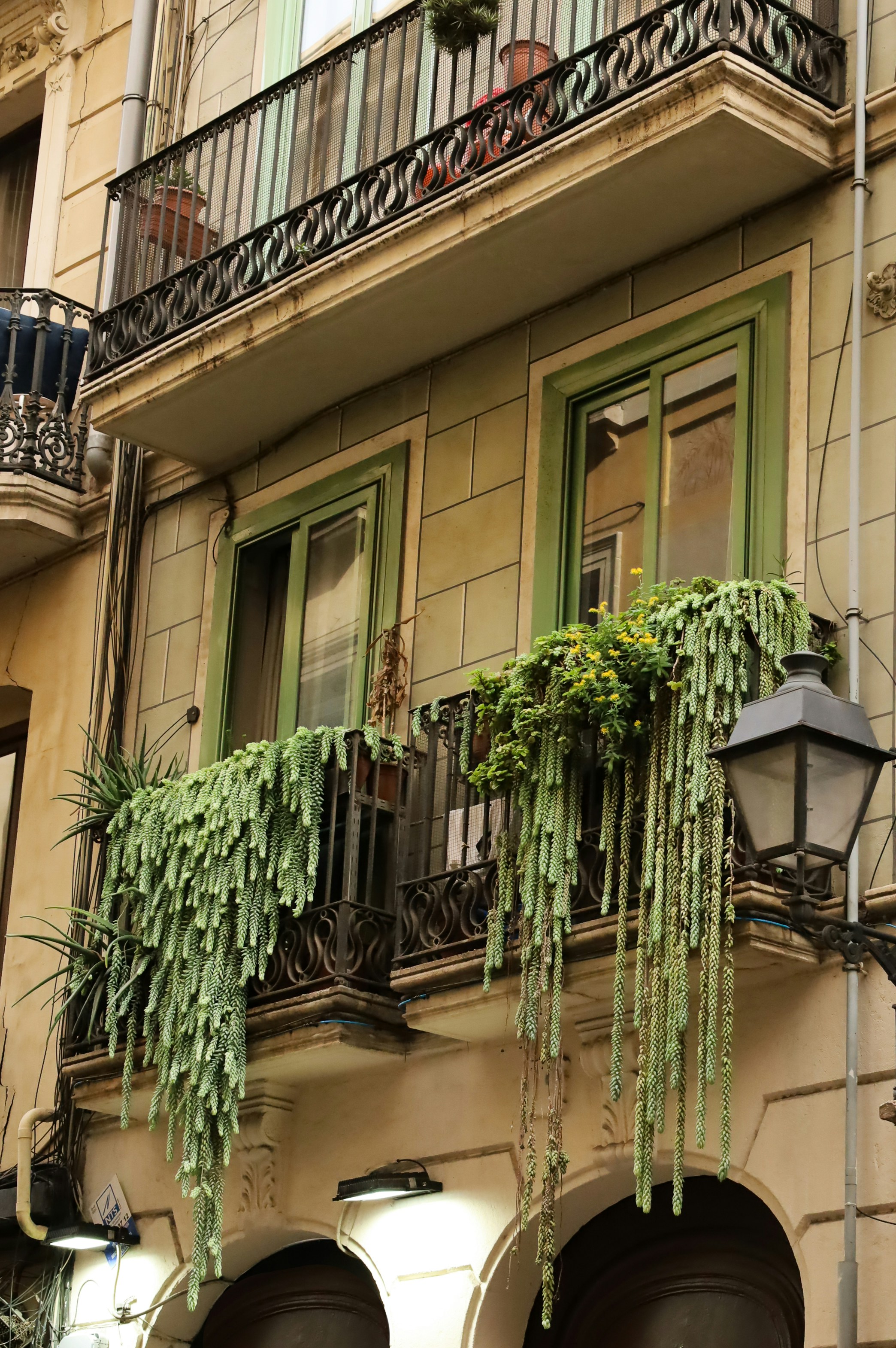 Un edificio con un montón de plantas colgando de sus balcones
