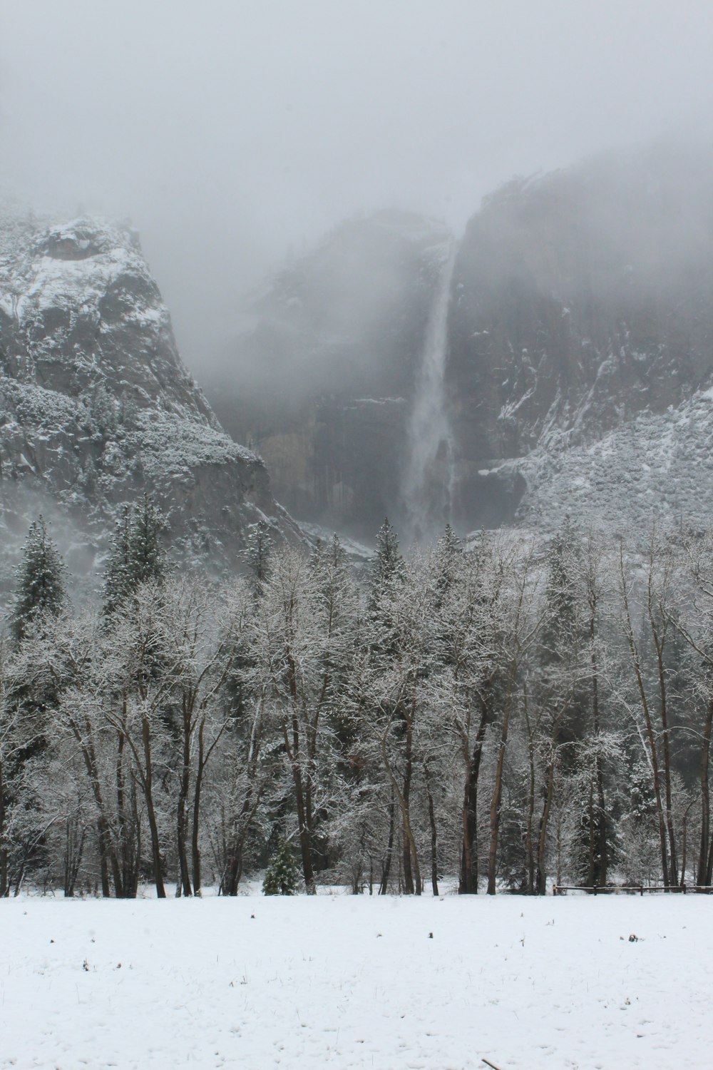 a snowy landscape with trees and mountains in the background