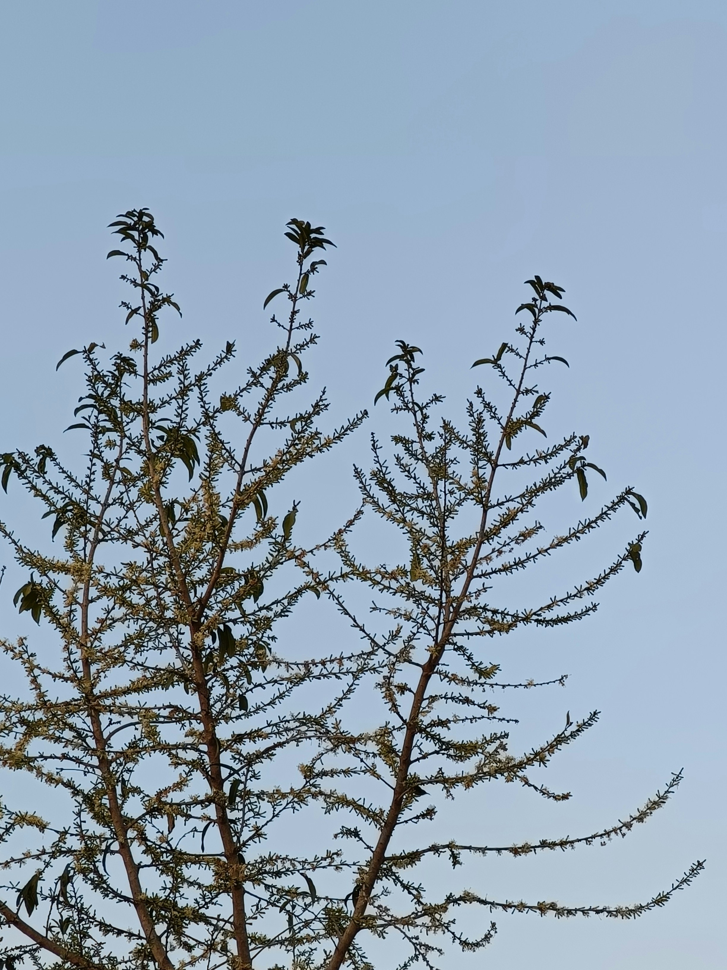 Photo by amandaharwal0