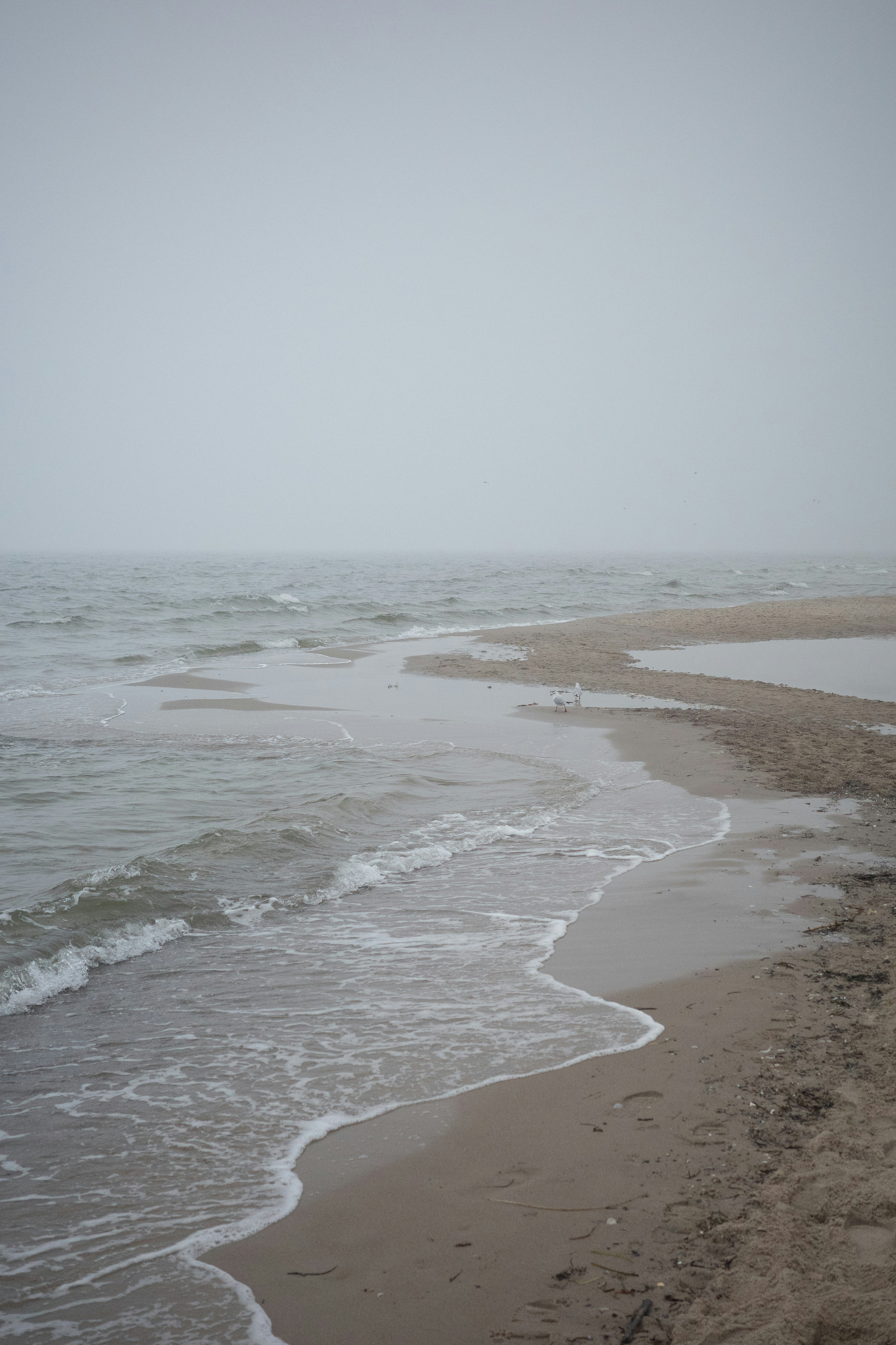 Photo by ninaschneider