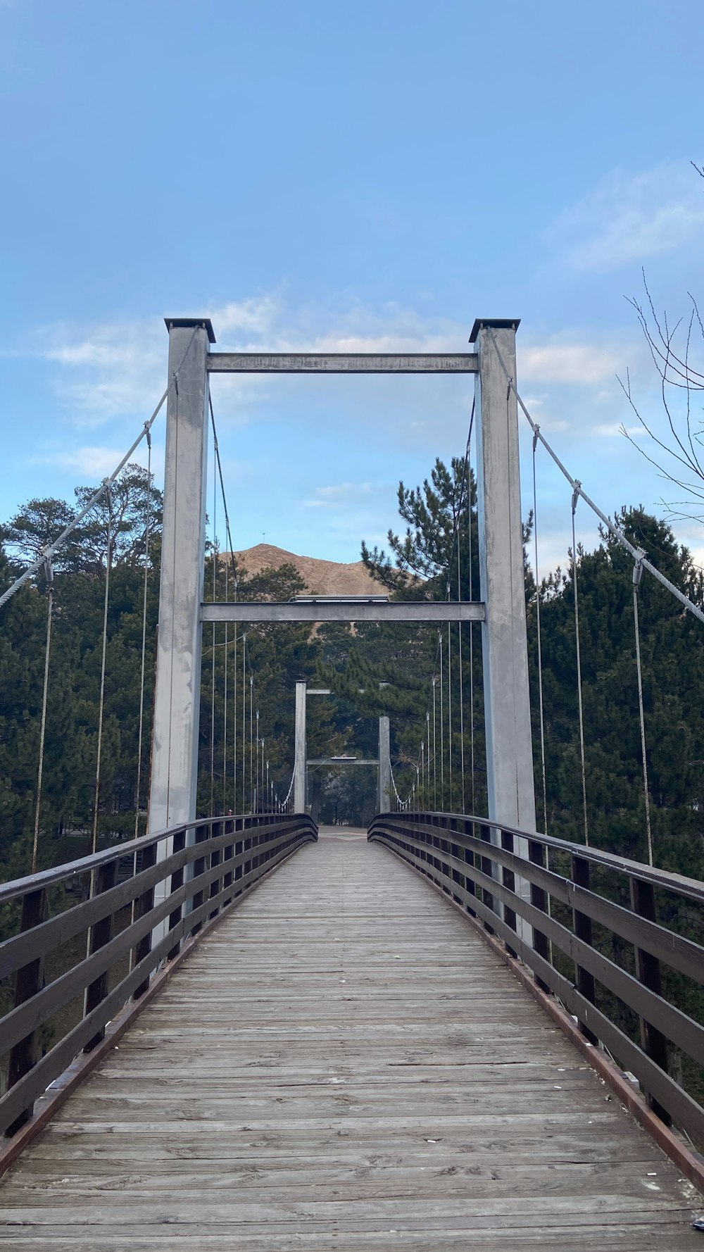 a wooden bridge with metal railings and a mountain in the background